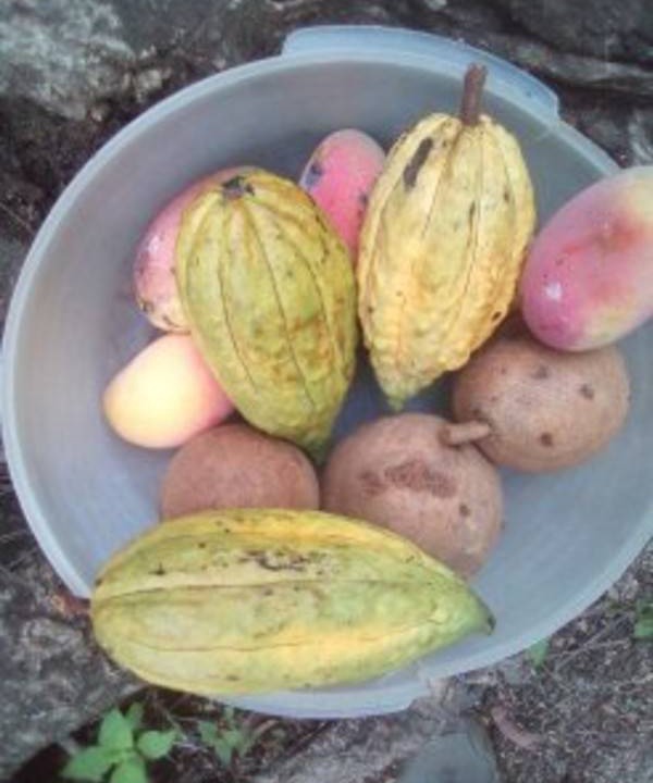 Photo of Others in Ocotal