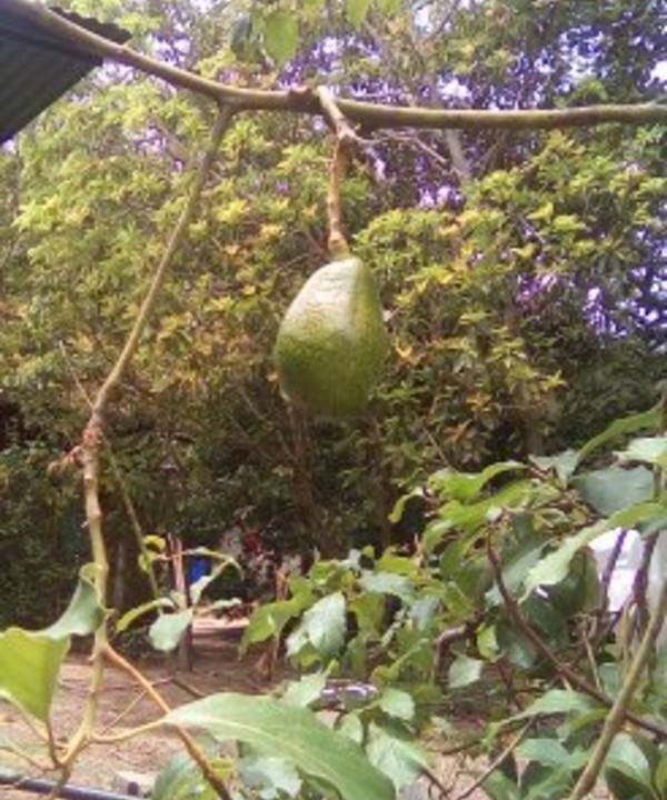 Photo of Others in Ocotal