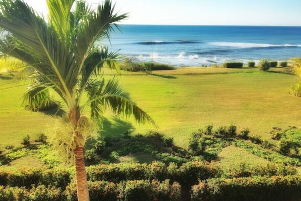 Photo of Outdoor in San Diego