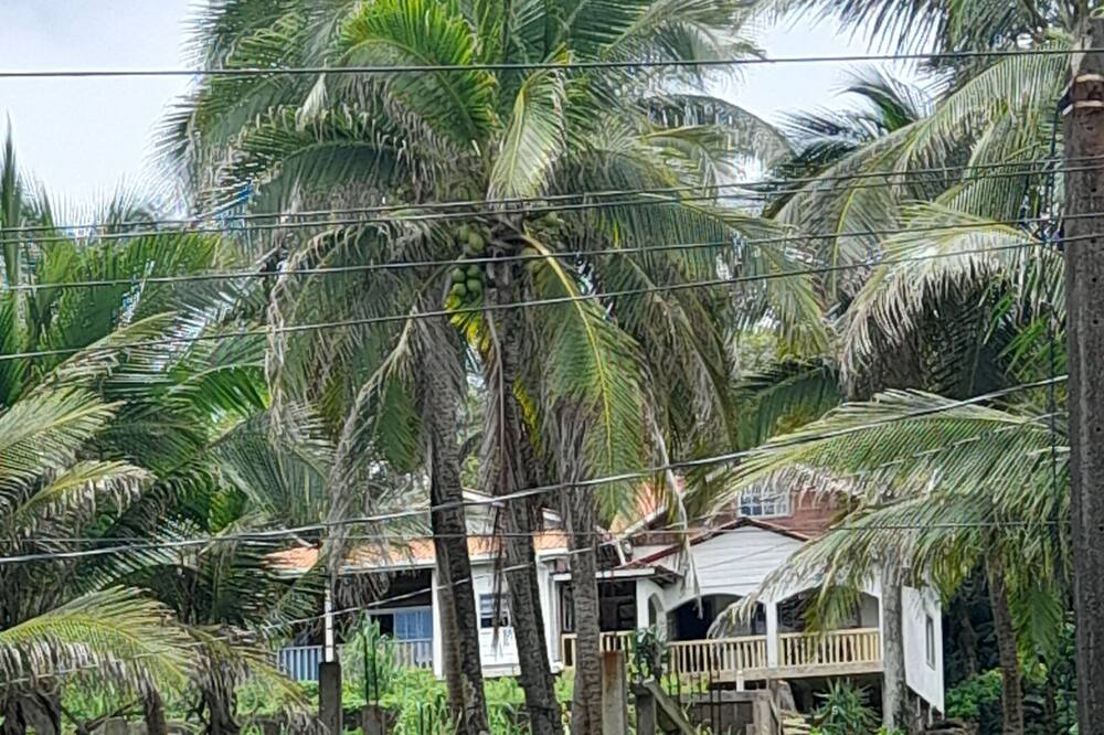Photo of Outdoor in Corn Island