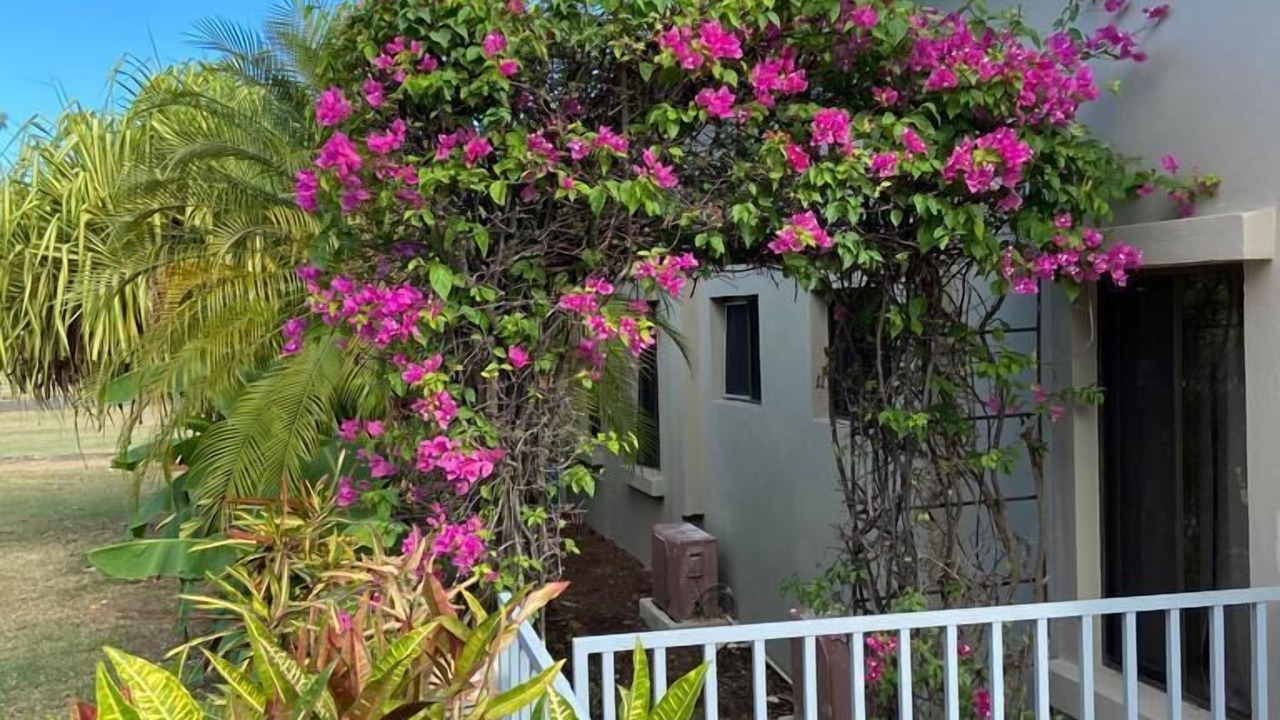 Photo of Outdoor in San Diego