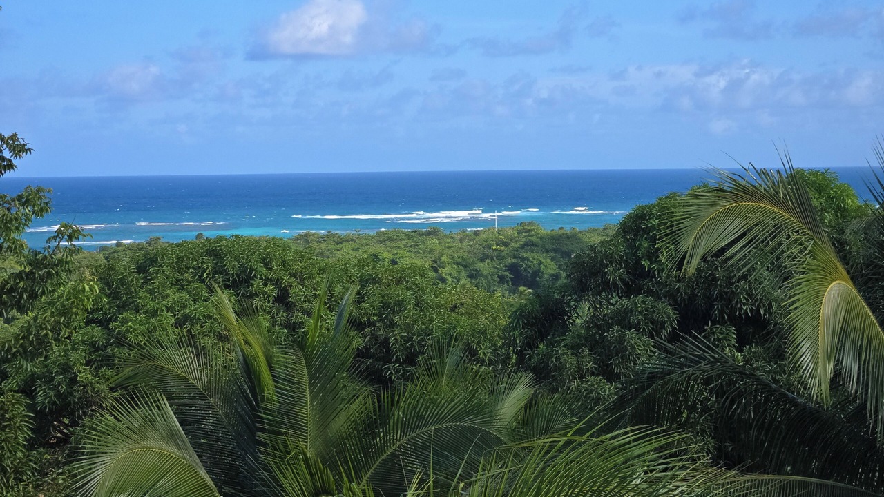 Photo of Outdoor in Little Corn Island