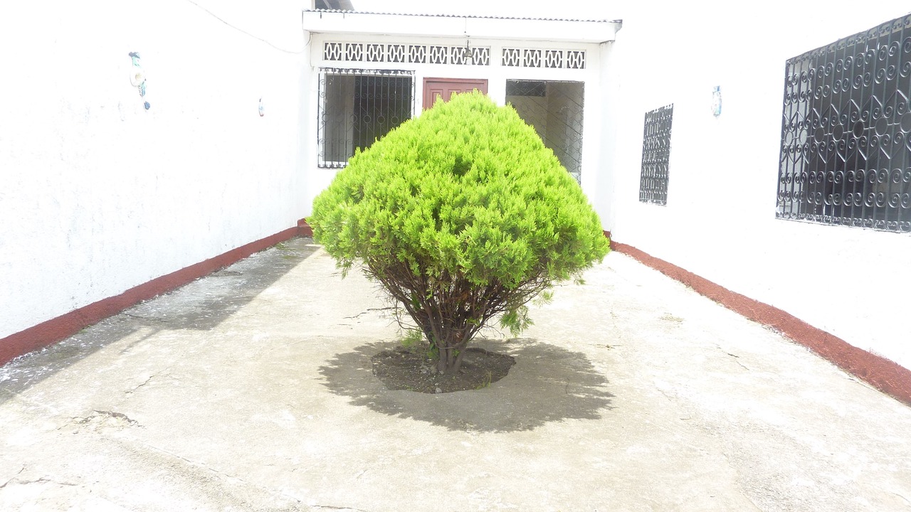 Photo of Outdoor in Masaya