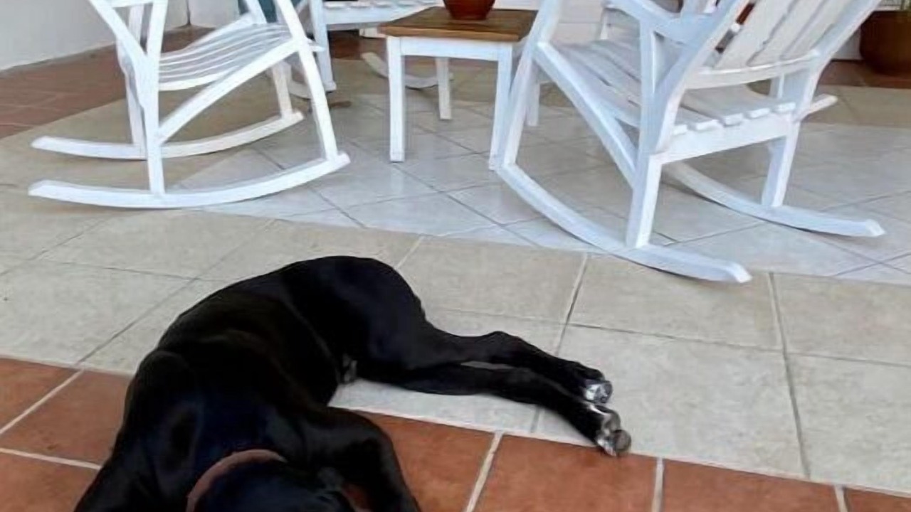 Photo of Patio Balcony in Las Penitas