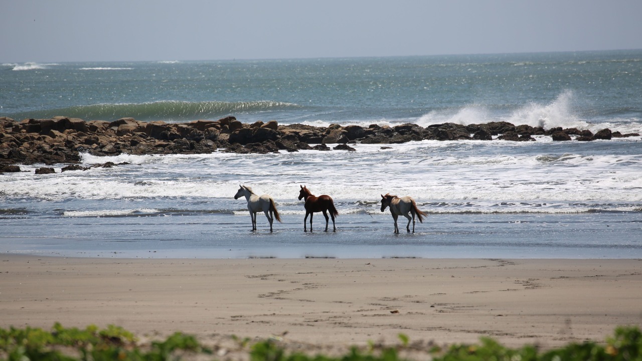 Photo of Outdoor in El Viejo