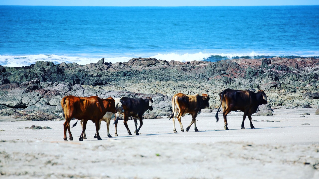 Photo of Outdoor in El Viejo