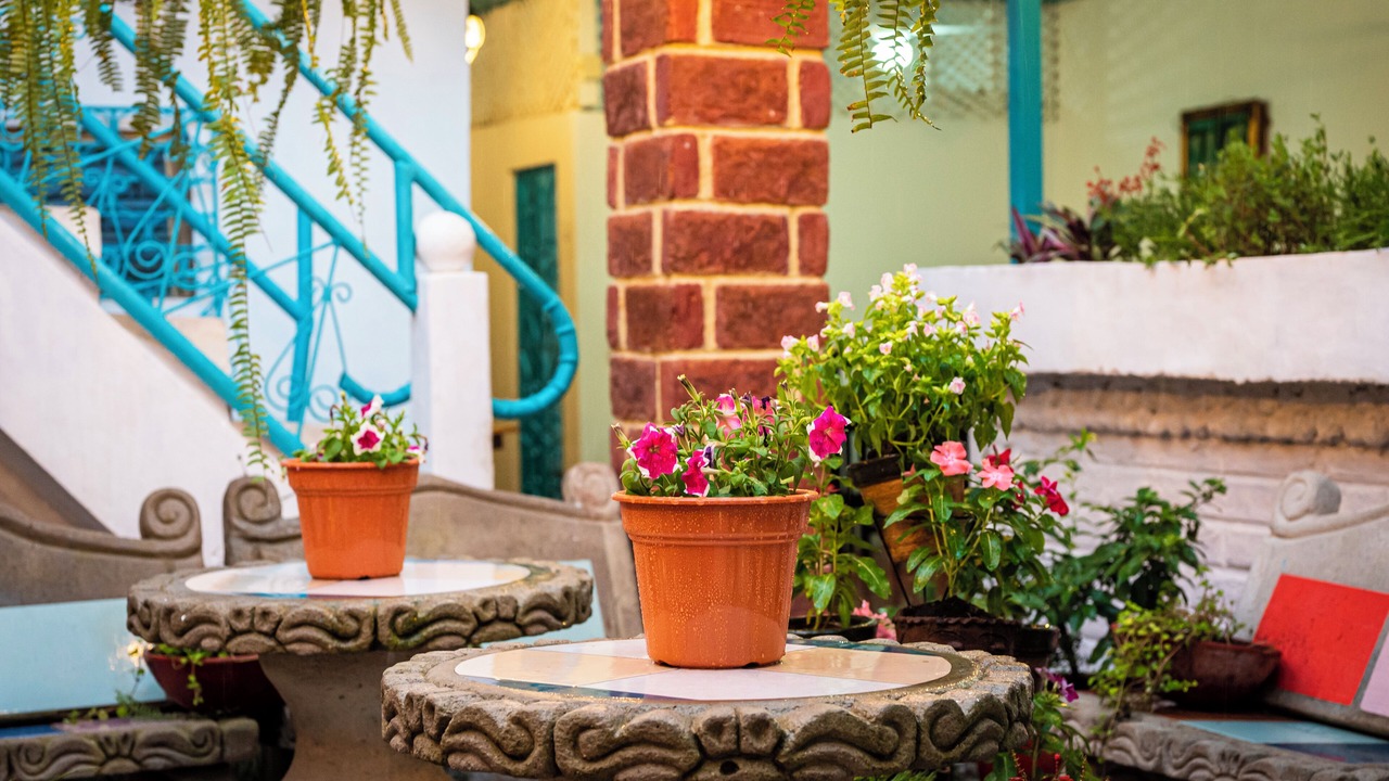 Photo of Patio Balcony in Granada