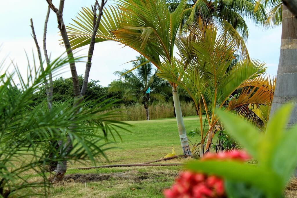 Photo of Outdoor in San Diego