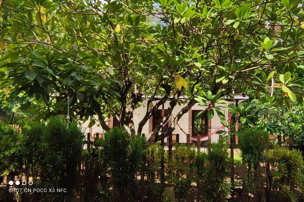 Photo of Outdoor in Chinandega