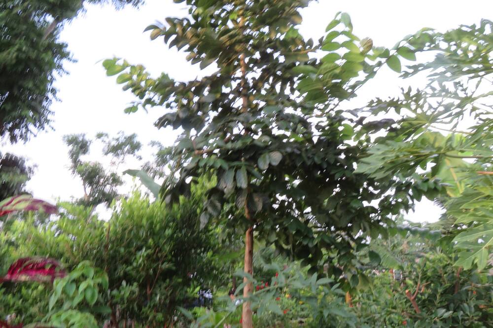 Photo of Outdoor in Niquinohomo