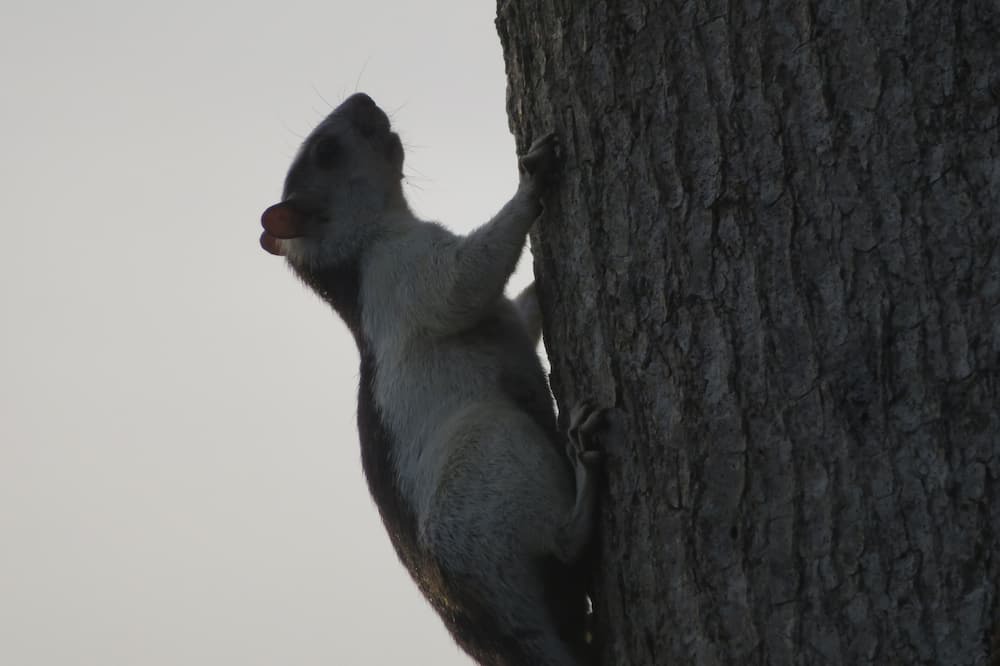 Photo of Others in Niquinohomo