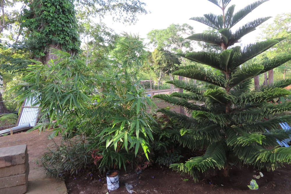 Photo of Outdoor in Niquinohomo