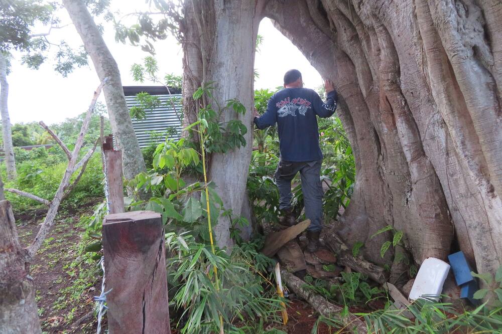 Photo of Outdoor in Niquinohomo