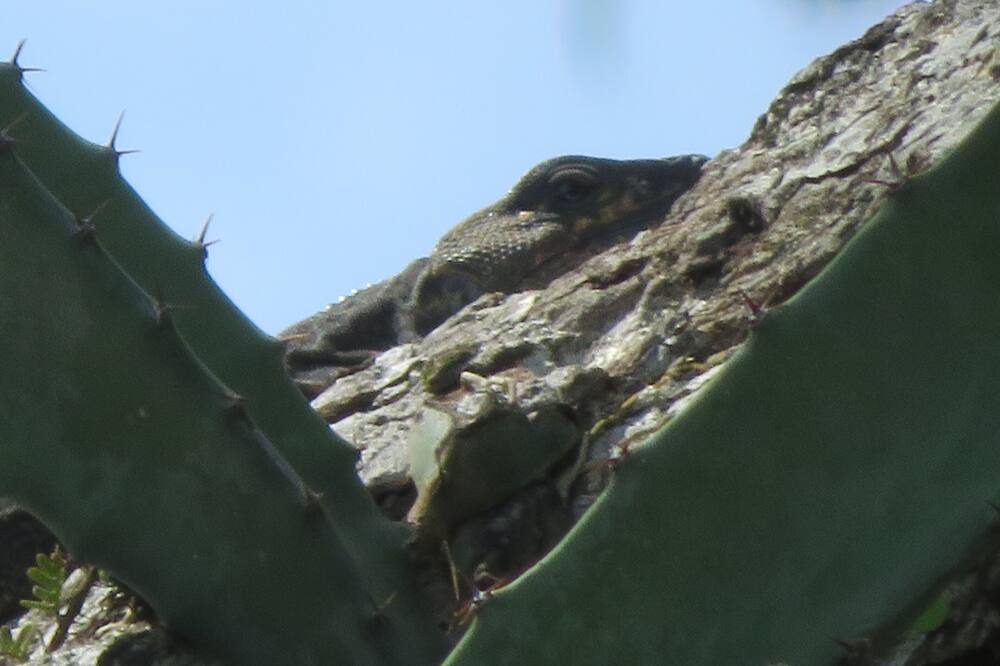 Photo of Outdoor in Niquinohomo
