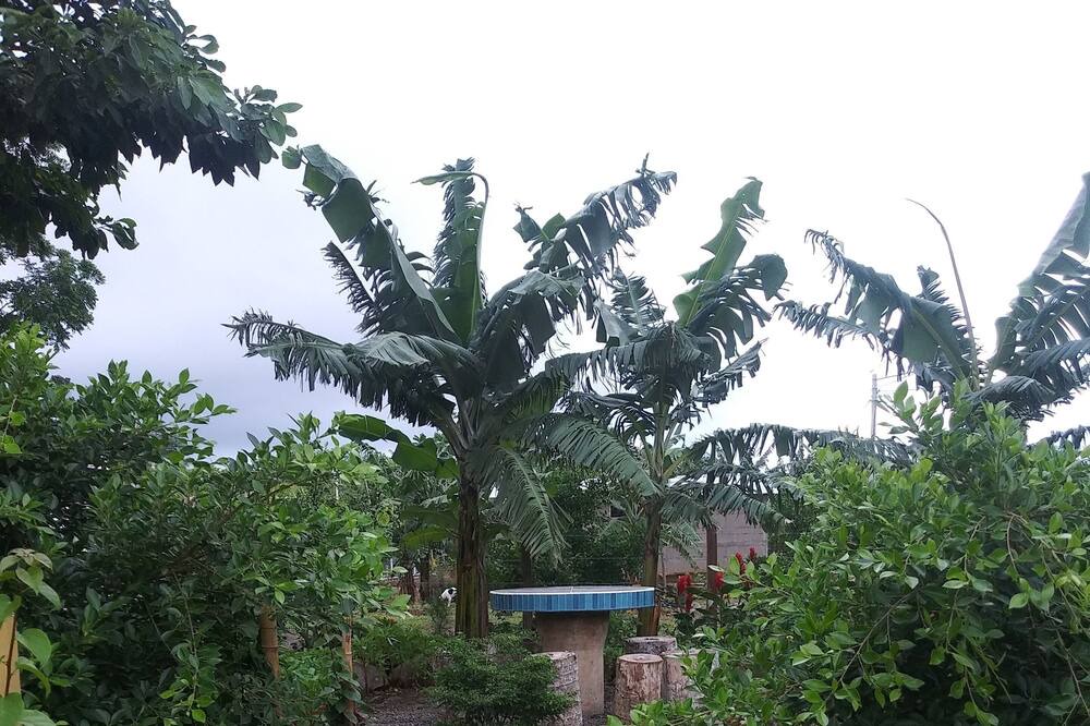 Photo of Outdoor in Niquinohomo