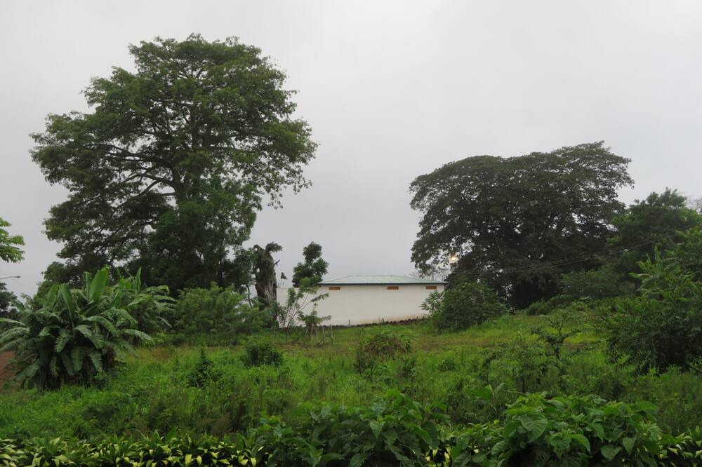 Photo of Outdoor in Niquinohomo