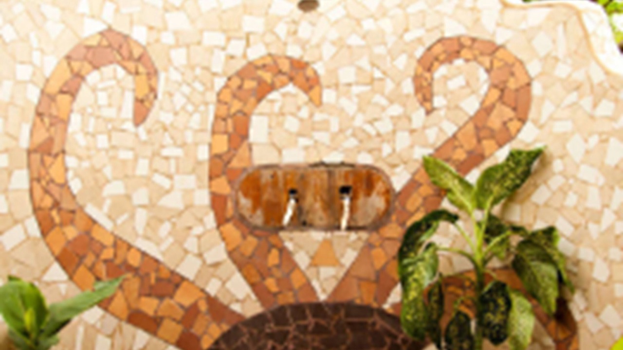Photo of Patio Balcony in Altagracia
