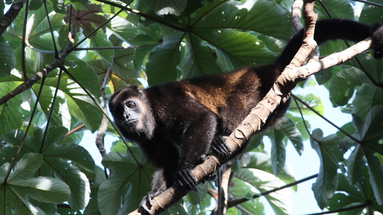 Photo of Outdoor in Altagracia