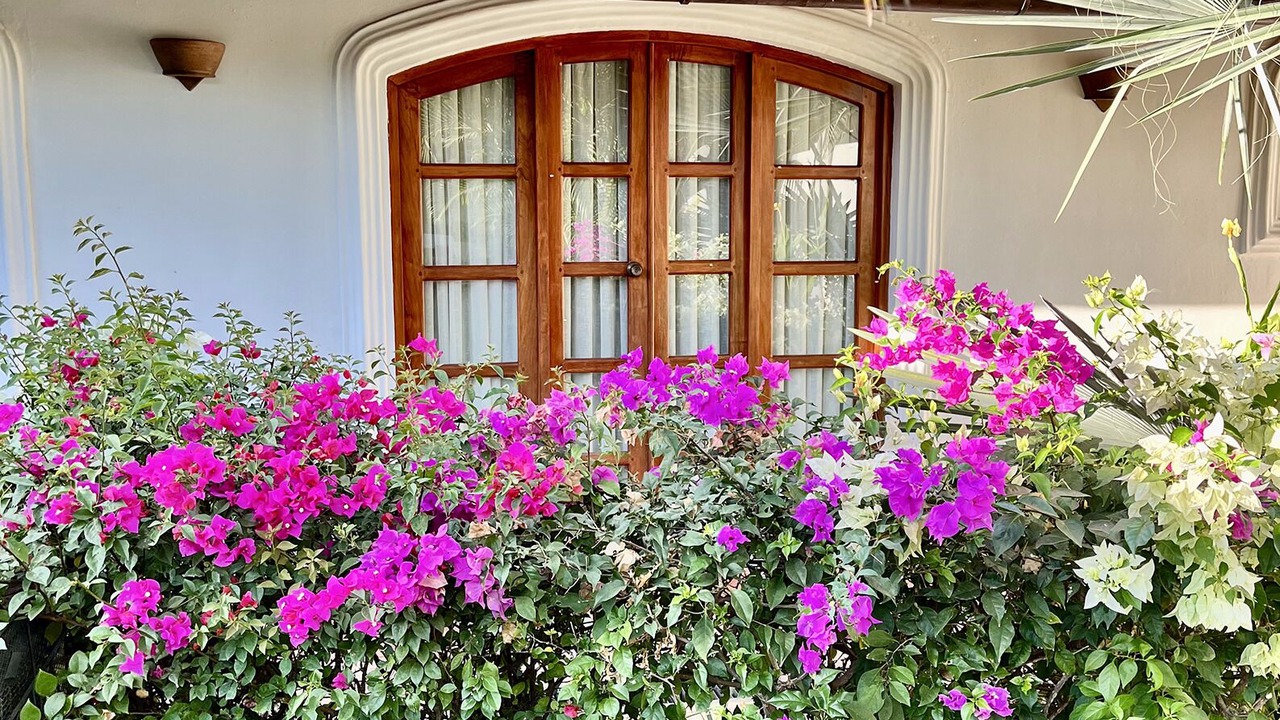 Photo of Outdoor in Granada