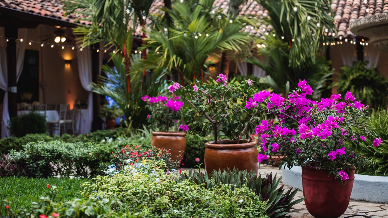 Photo of Outdoor in Granada