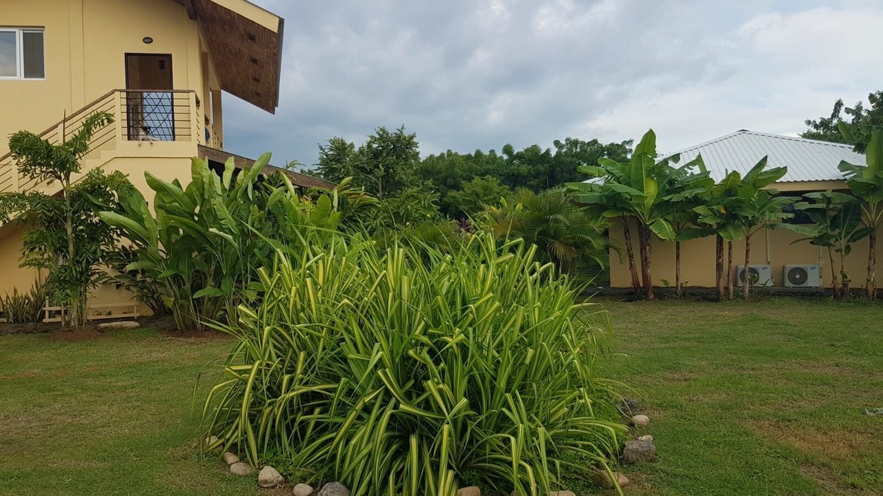 Photo of Outdoor in Aposentillo