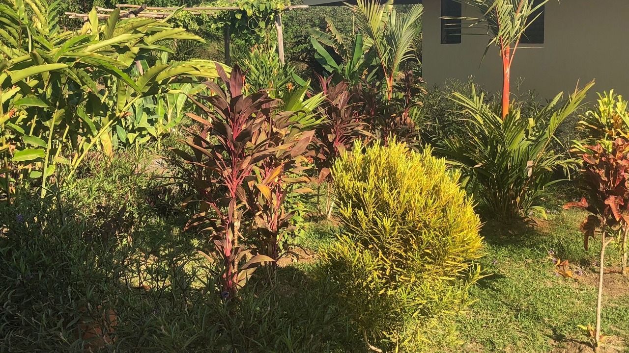 Photo of Outdoor in Aposentillo
