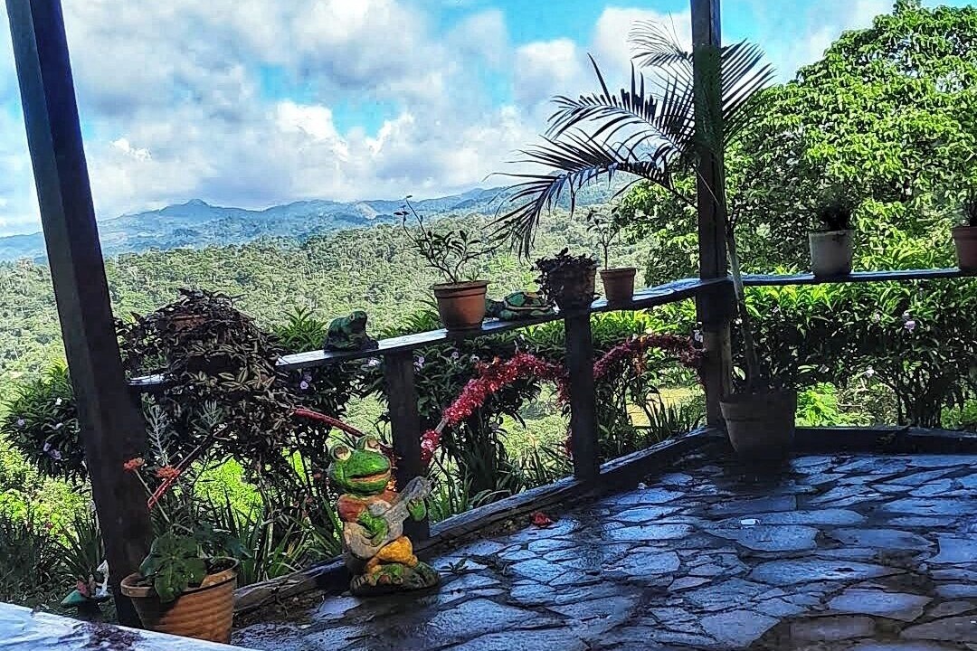 Photo of Patio Balcony in Yasica Sur