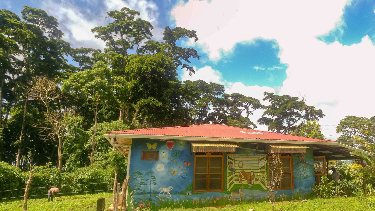 Photo of Outdoor in Yasica Sur