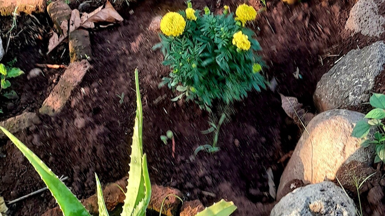 Photo of Outdoor in Yasica Sur