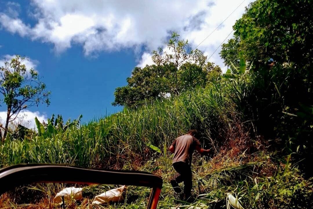 Photo of Outdoor in Yasica Sur