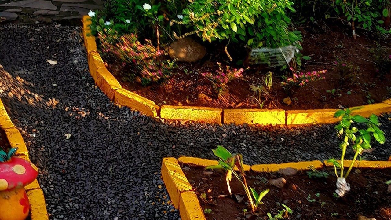 Photo of Outdoor in Yasica Sur