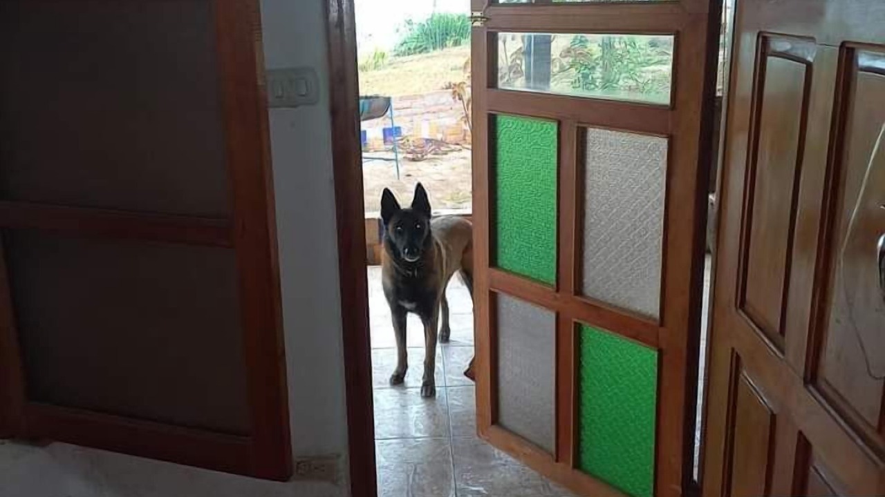 Photo of Outdoor in Yasica Sur
