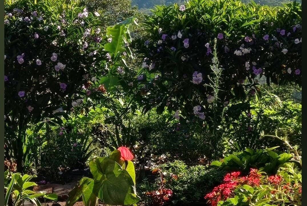 Photo of Patio Balcony in Yasica Sur