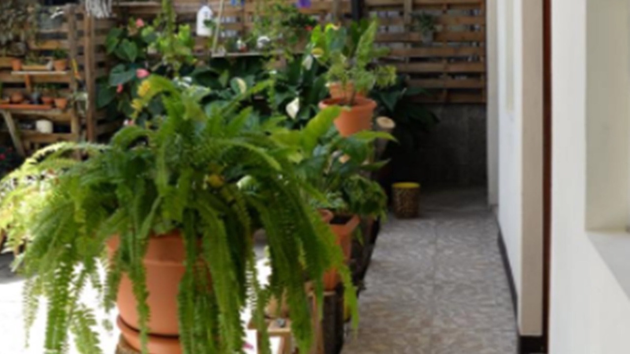 Photo of Patio Balcony in Somoto