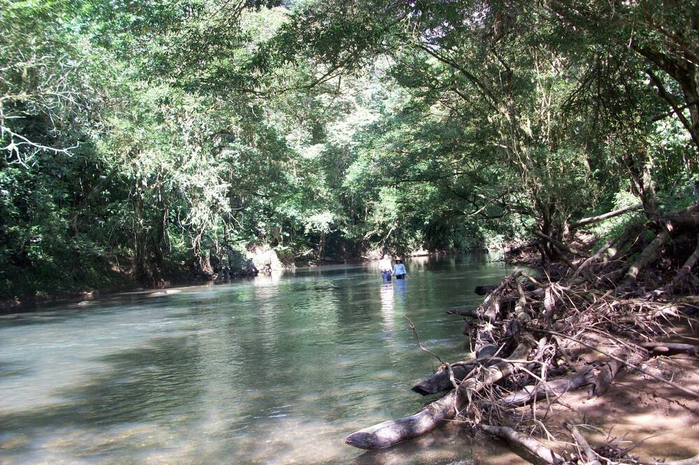 Photo of Outdoor in El Castillo