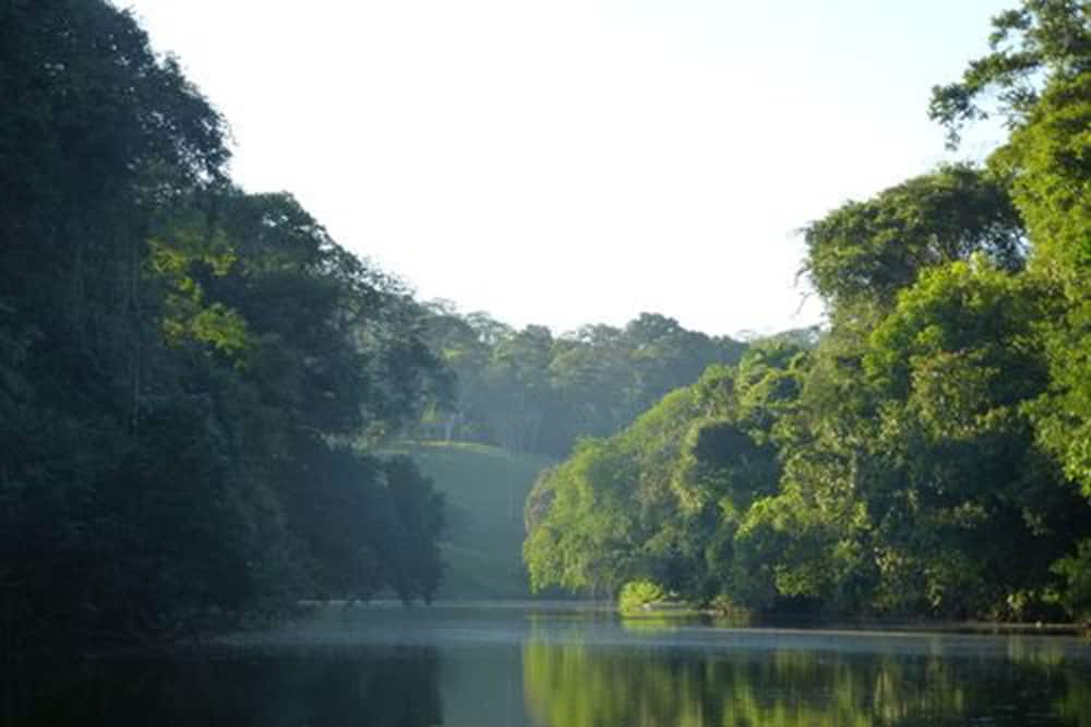 Photo of Others in El Castillo