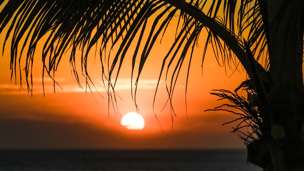 Photo of Others in Puerto Sandino