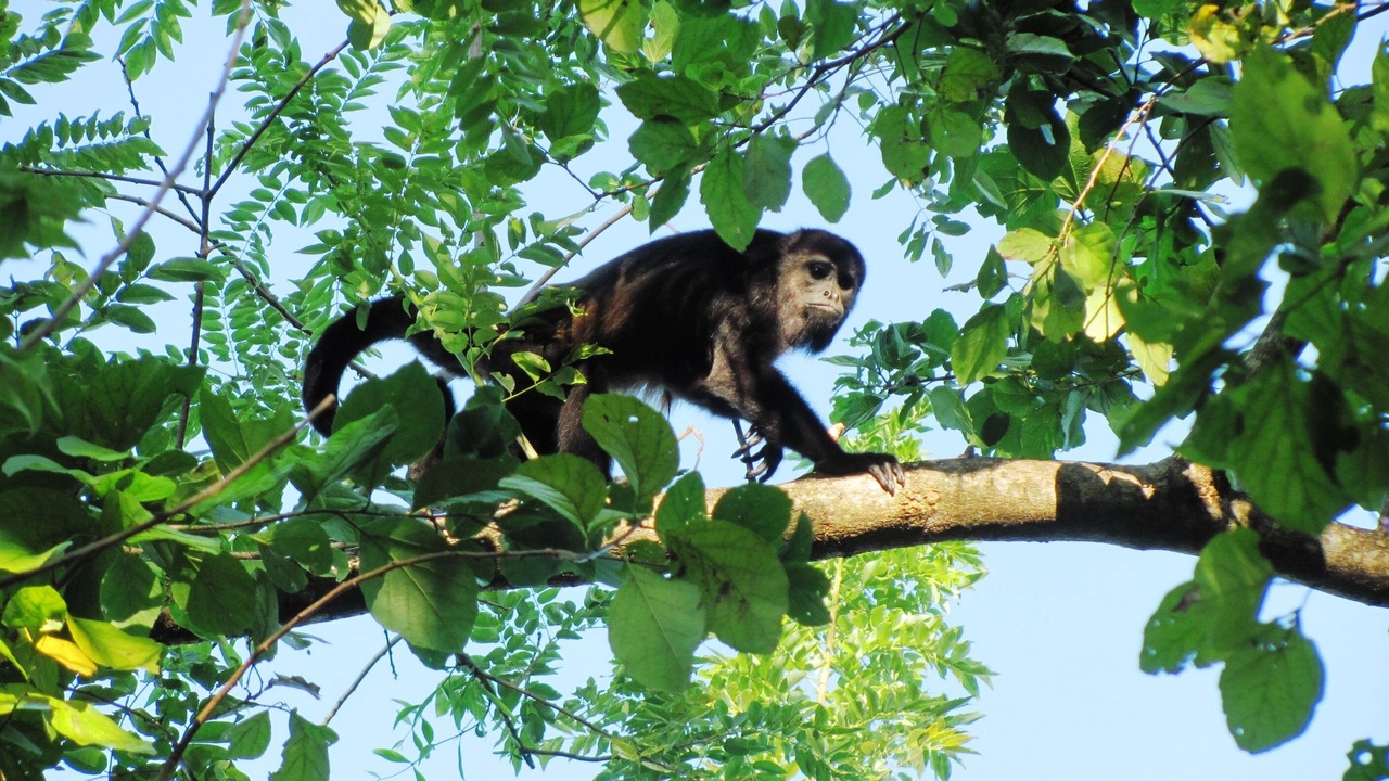 Photo of Outdoor in Ometepe Island