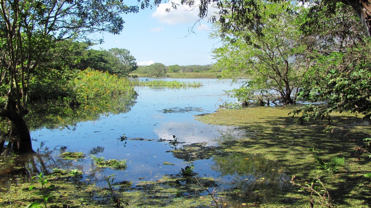 Photo of Outdoor in Ometepe Island