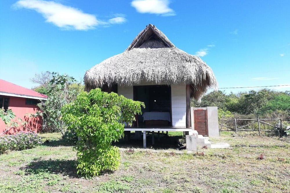 Photo of Outdoor in Leon