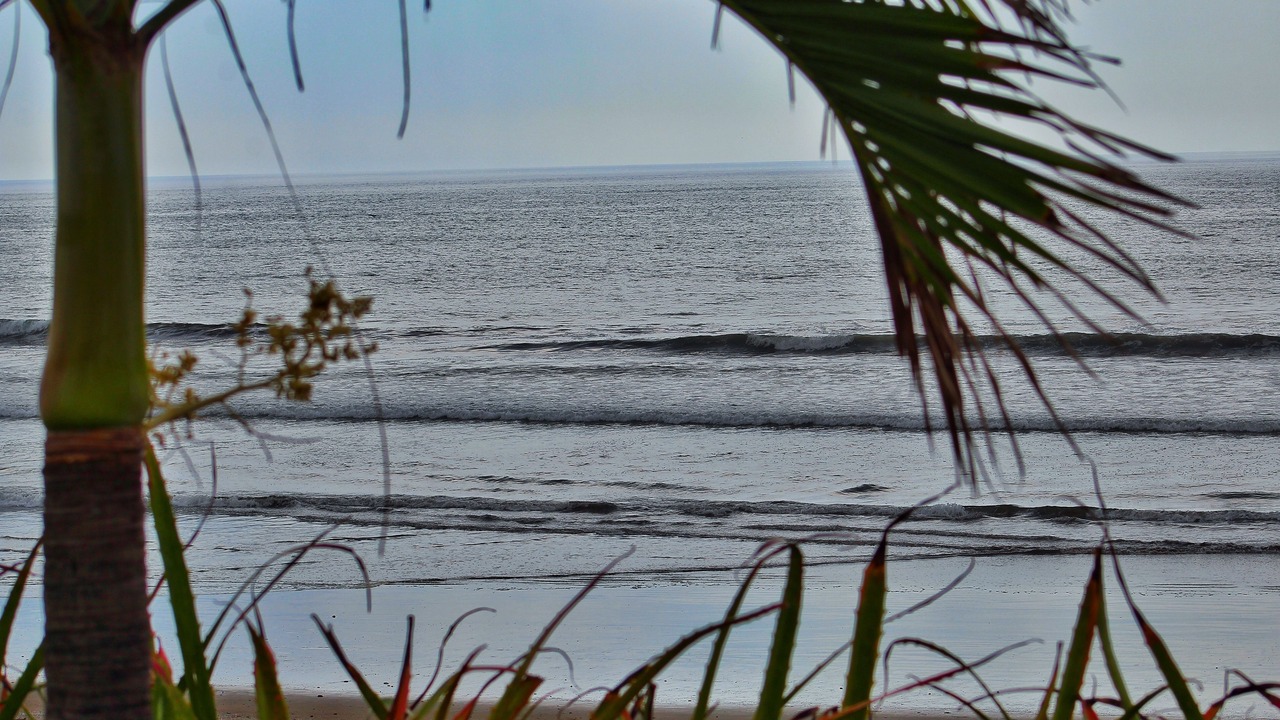 Photo of Others in San Diego