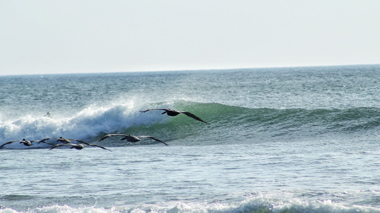 Photo of Others in San Diego