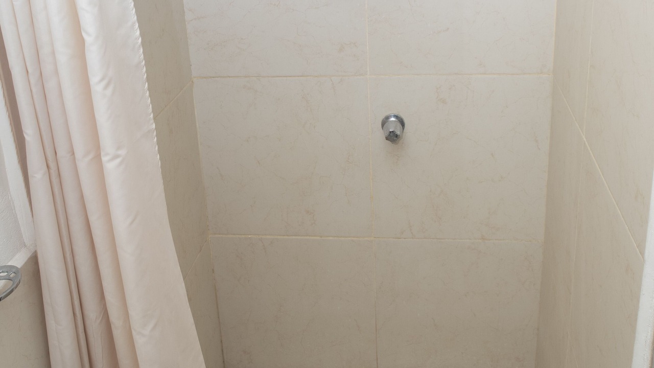 Photo of Bathroom in Leon