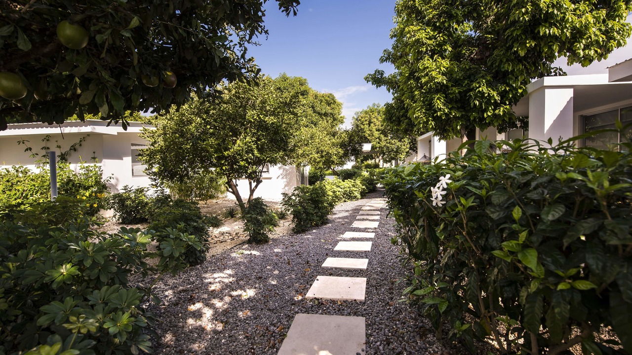 Photo of Outdoor in Managua