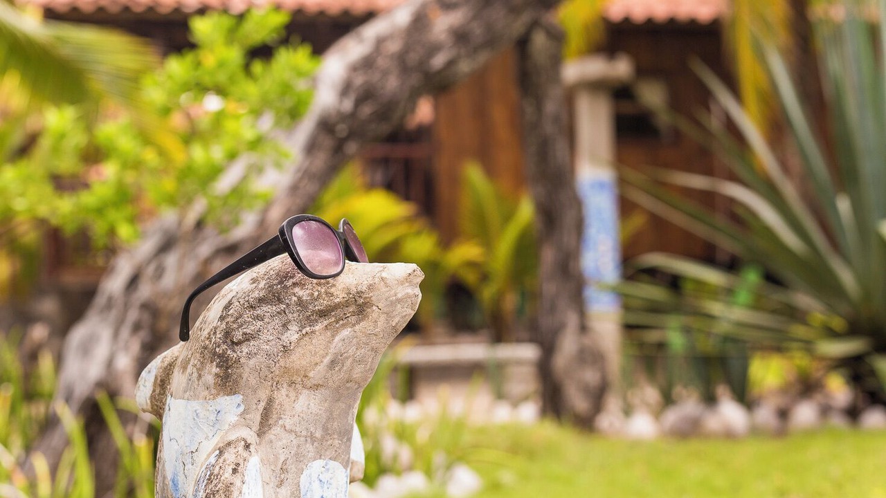 Photo of Outdoor in Mechapa