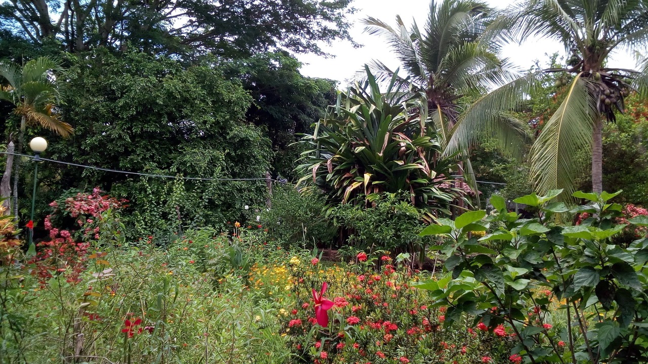Photo of Outdoor in Santa Cruz