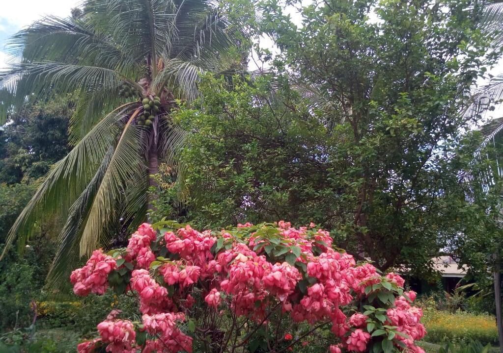 Photo of Outdoor in Santa Cruz