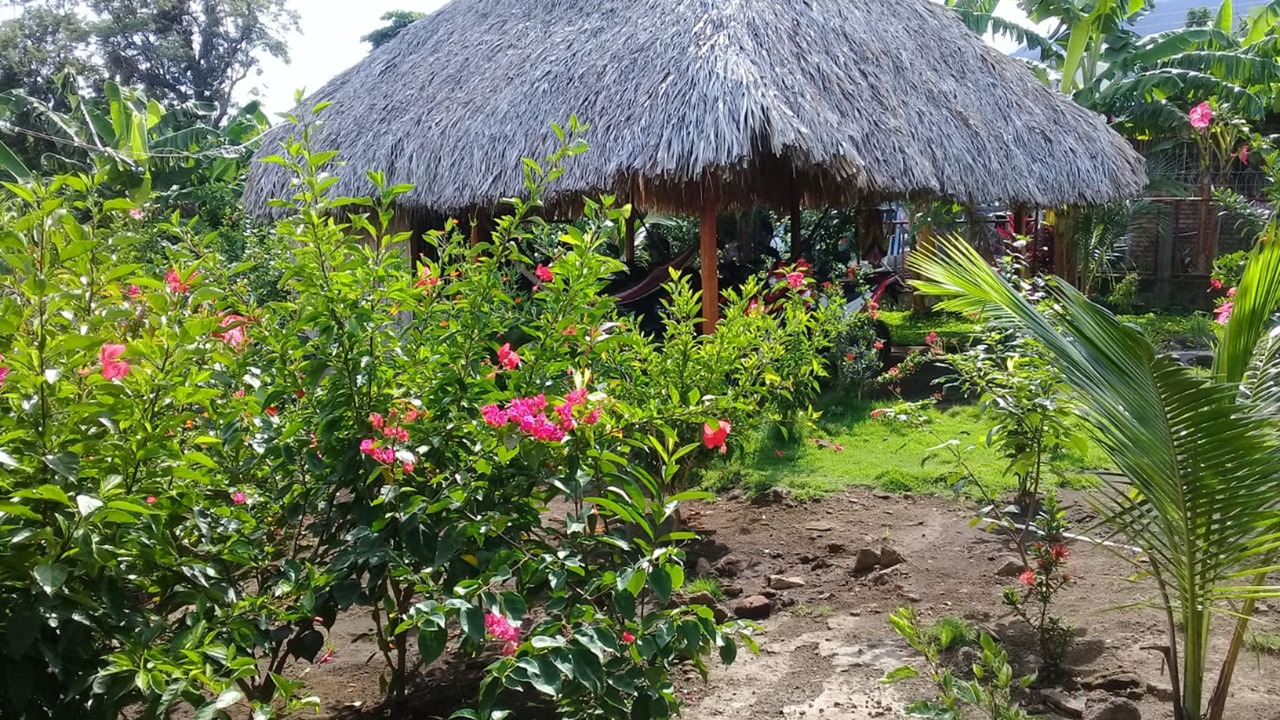 Photo of Outdoor in Ometepe Island