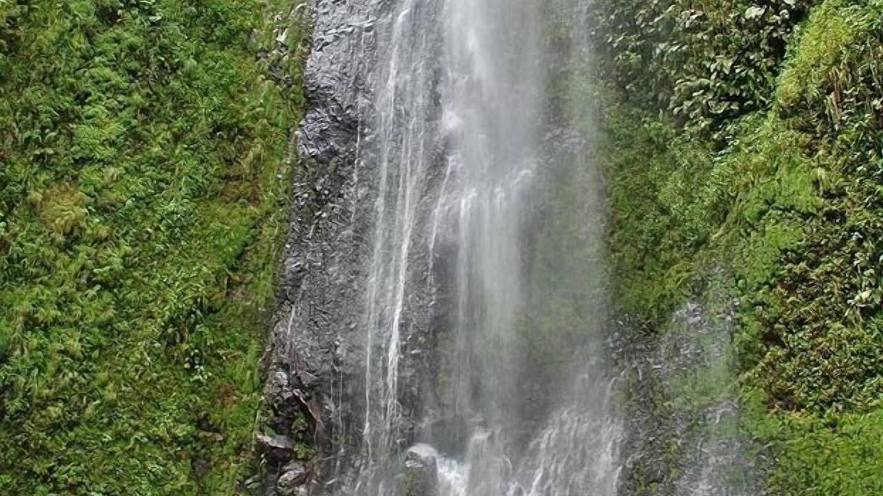 Photo of Others in Ometepe Island