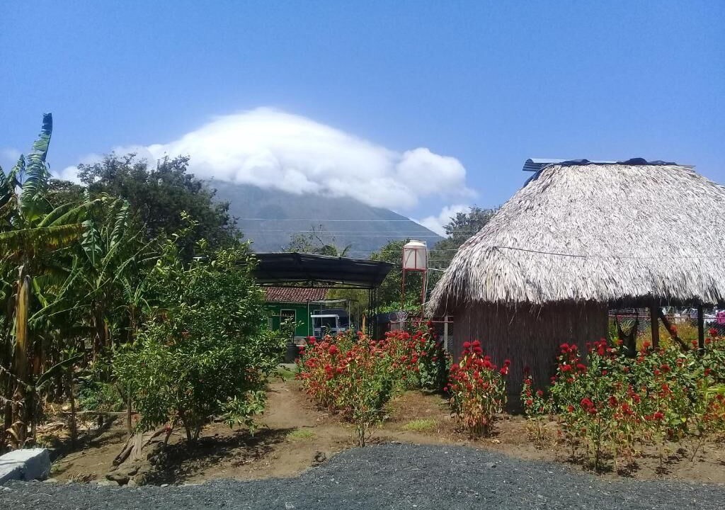 Photo of Outdoor in Ometepe Island